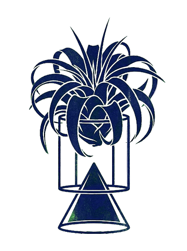 Ilustración botánica de planta aérea